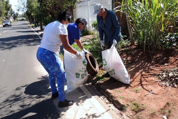 Paraná ultrapassa 100 mil casos de dengue; Comcam soma 384