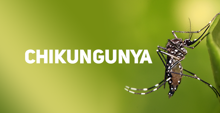 Goioerê registra primeiro caso e Cascavel a primeira morte por Chikungunya