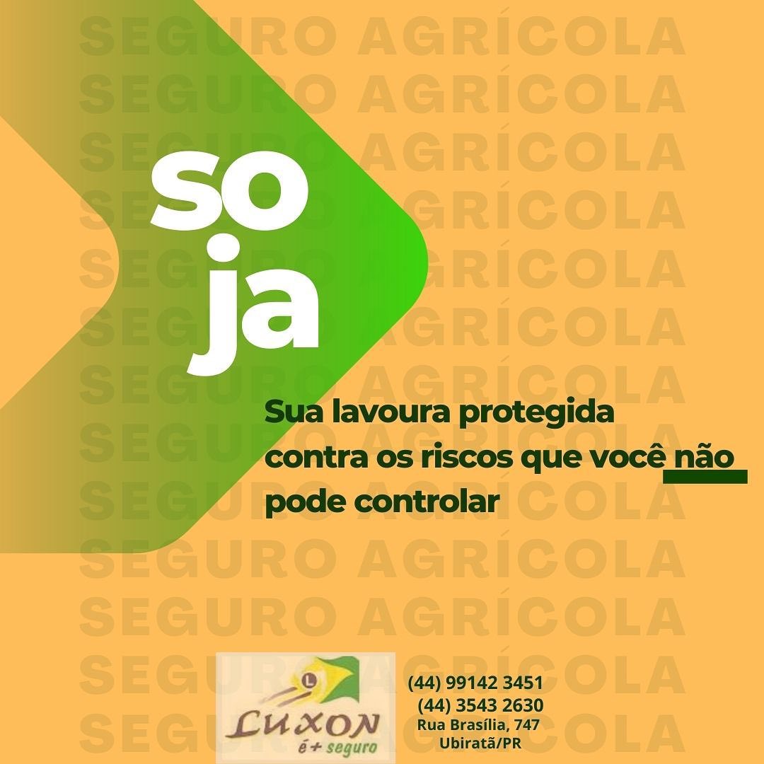 Seguro Soja da Luxon é + Seguro: importância e por que você deve fazer