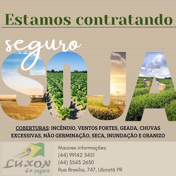 Previna – se: Contrate o seguro para Safra de Soja 2023/2024 na Luxon é + Seguro e fique tranquilo