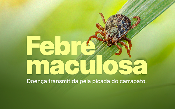 Primeiro caso de febre maculosa é confirmado no Paraná