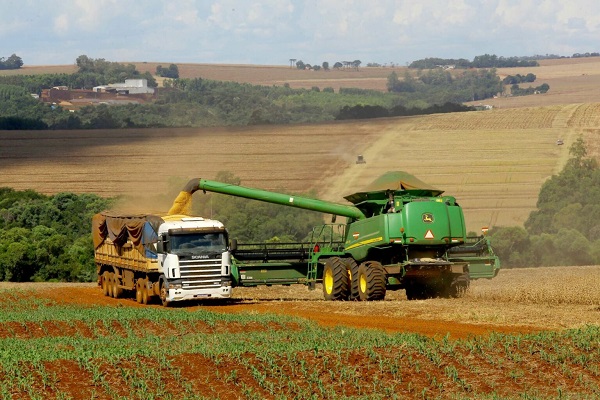 Clima tem favorecido o plantio de trigo e colheita de feijão no Paraná