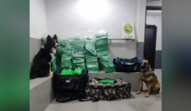 Caminhão carregado com quase 300 quilos de maconha é apreendido na BR 369