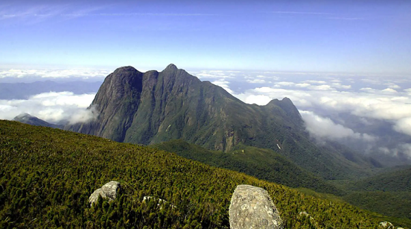 Avião desaparecido: Buscas estão no 3º dia na Serra do Mar