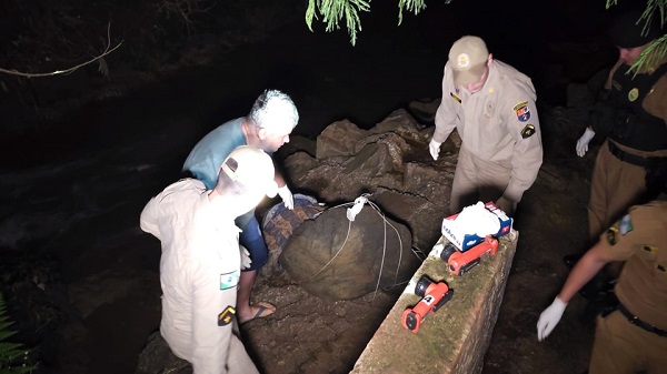 Corpo é encontrado embaixo de ponte com a cabeça desfigurada em Campo Mourão