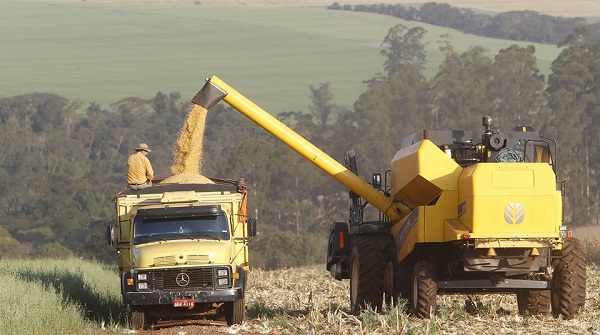 Secretaria da Agricultura divulga nova estimativa da safra 2022/23