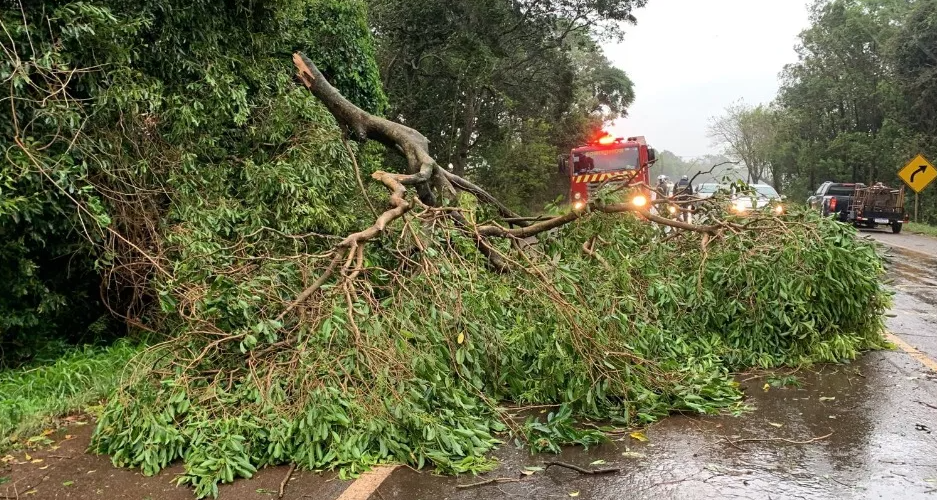 Temporal derruba árvores e postes na BR 369; O vendaval também fez estragos em Ubiratã