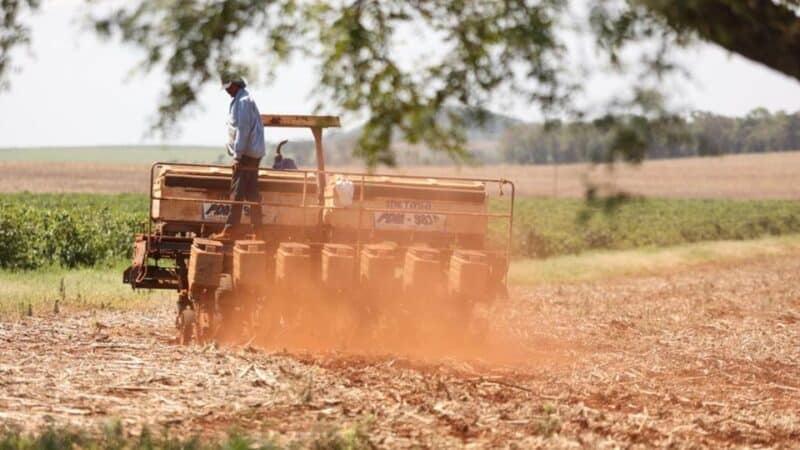 Após vazio sanitário, plantio de soja já começou no Paraná; colheita do milho está no fim
