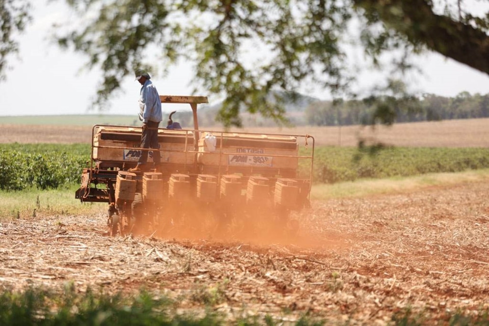 Após vazio sanitário, plantio de soja já começou no Paraná; colheita do milho está no fim