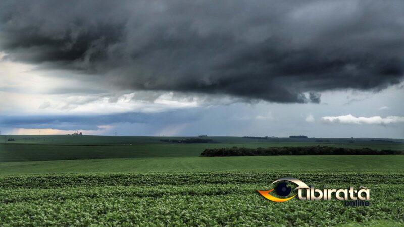Previsão de safra da Secretaria da Agricultura avalia impacto das chuvas nas lavouras