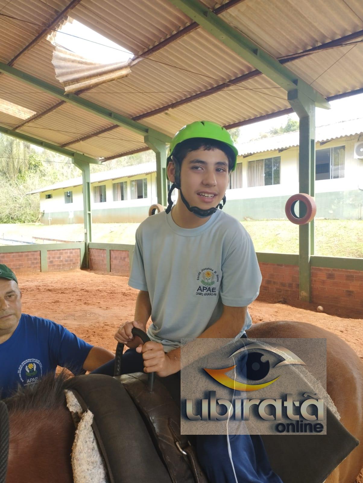 Cavalos da APAE utilizados em sessões de equoterapia recebem assistência veterinária gratuita