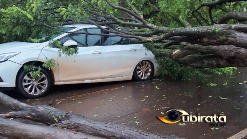 Prefeitura de Campo Mourão decreta calamidade pública por estragos causados pela chuva