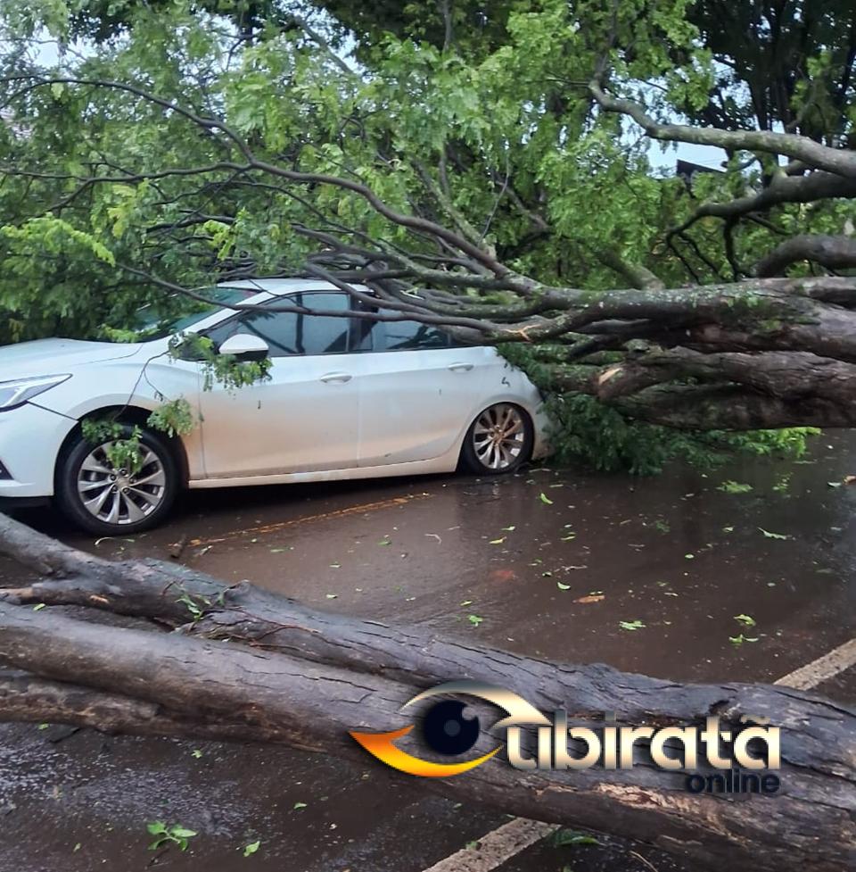 Prefeitura de Campo Mourão decreta calamidade pública por estragos causados pela chuva