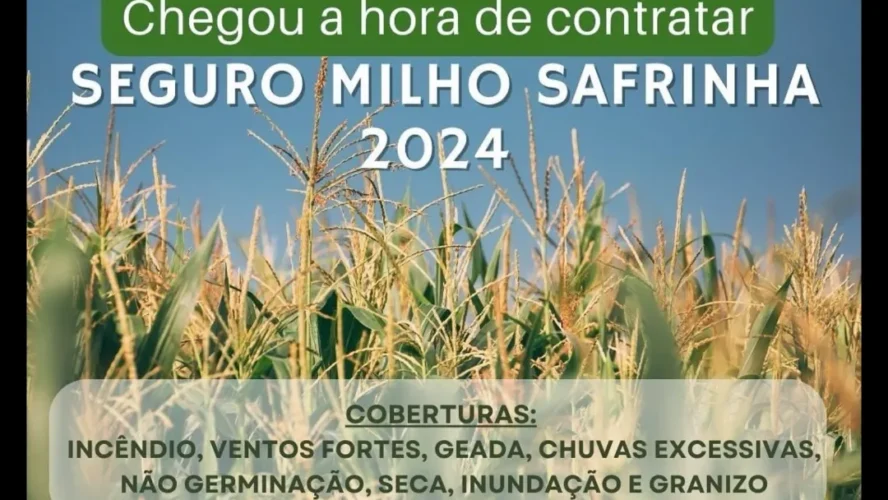 Luxon é + Seguro: Contrate o Seguro Agrícola Milho Safrinha 2024 Segurança para sua lavoura e tranquilidade para você.