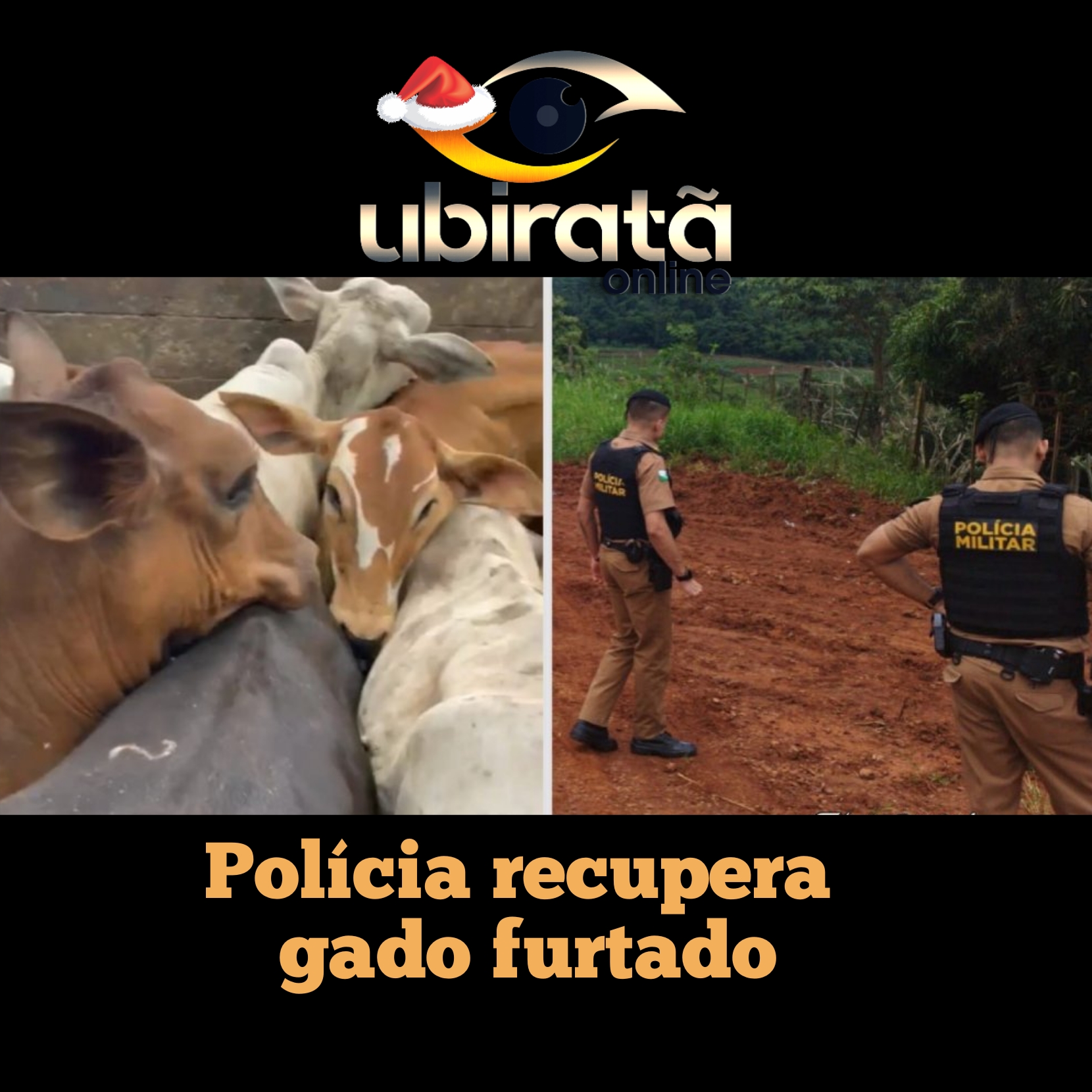 Operação policial recupera cabeças de gado furtadas em Iguatu