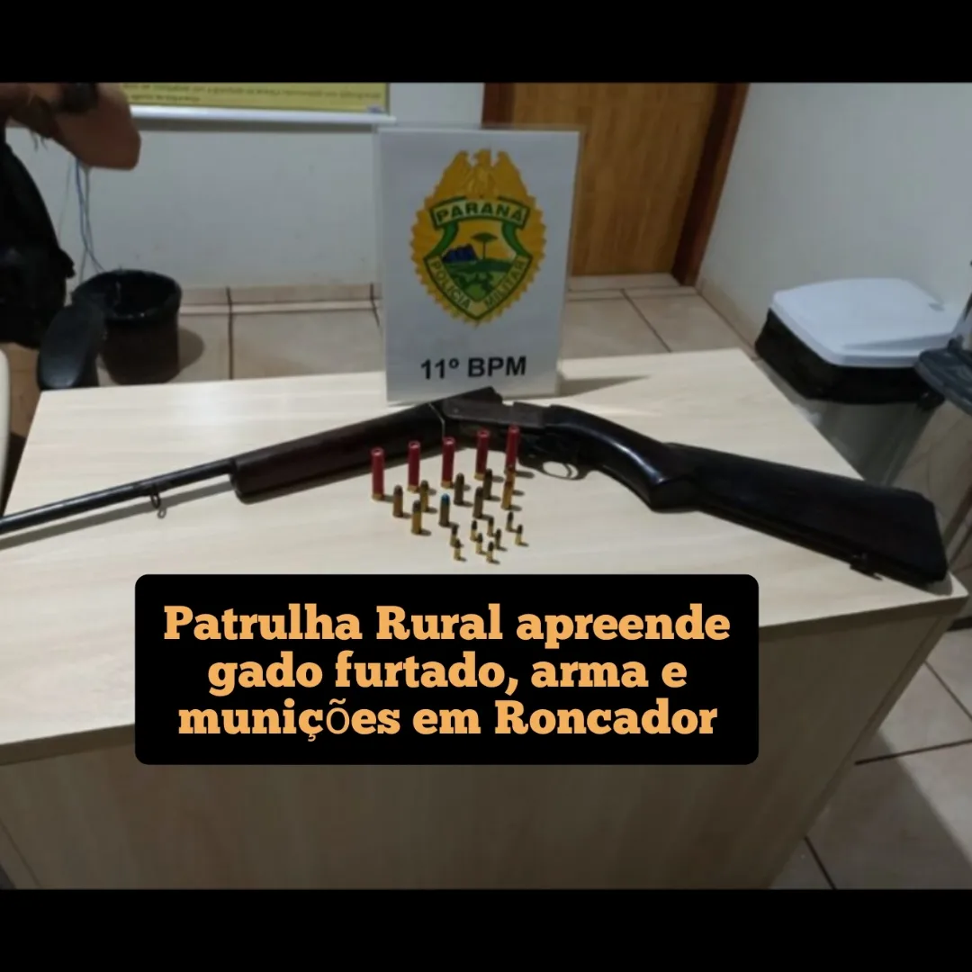Patrulha Rural apreende gado furtado, armas e munições em Roncador