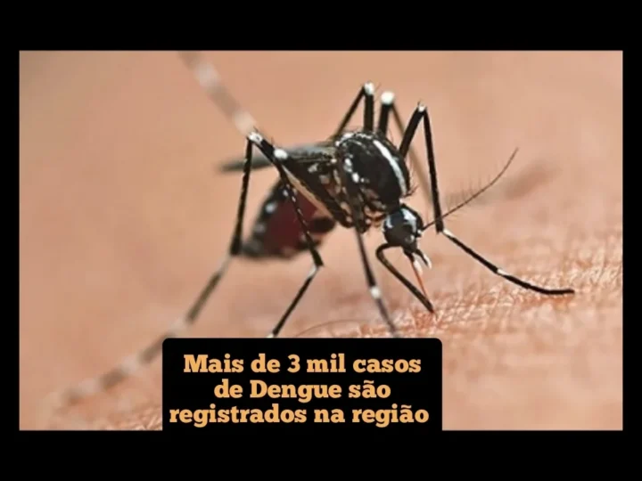Mais de 3 mil casos de Dengue são registrados na região