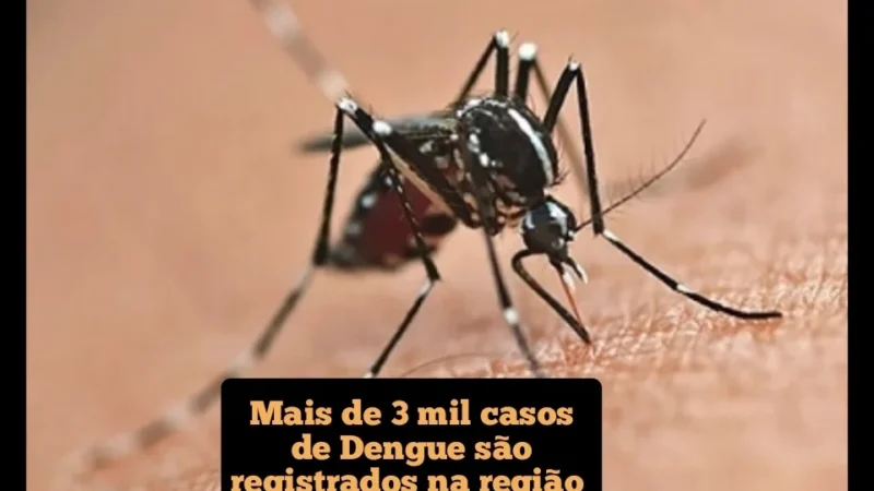 Mais de 3 mil casos de Dengue são registrados na região