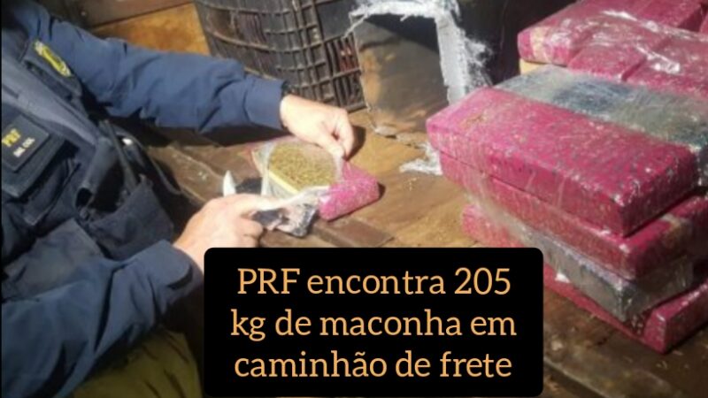 PRF encontra 205 quilos de maconha em caminhão de frete