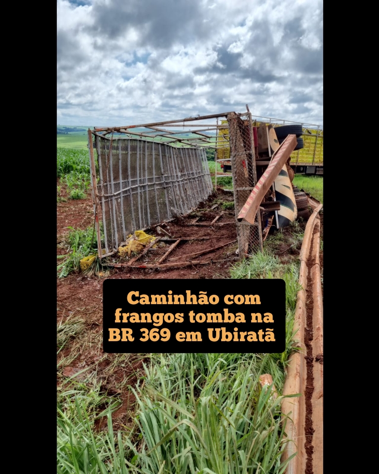 Caminhão de frangos tomba na BR 369 em Ubiratã