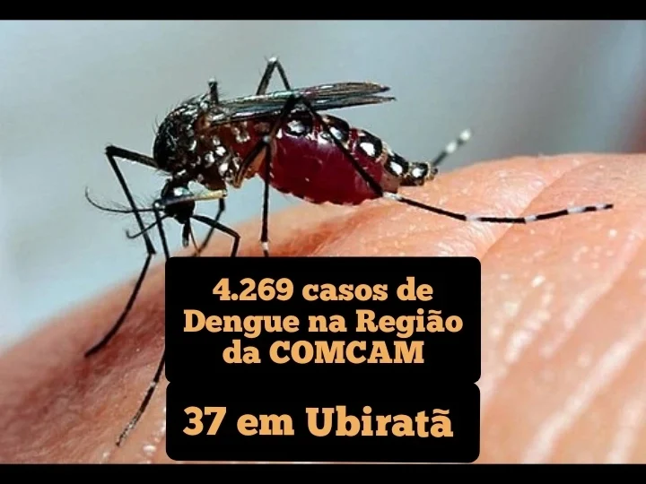 4.269 casos de Dengue na Região da COMCAM; 37 em Ubiratã