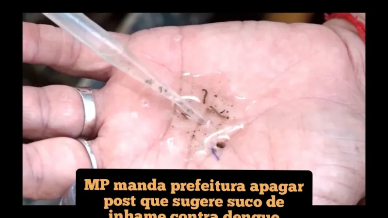 MP manda prefeitura apagar post que sugere suco de inhame contra dengue