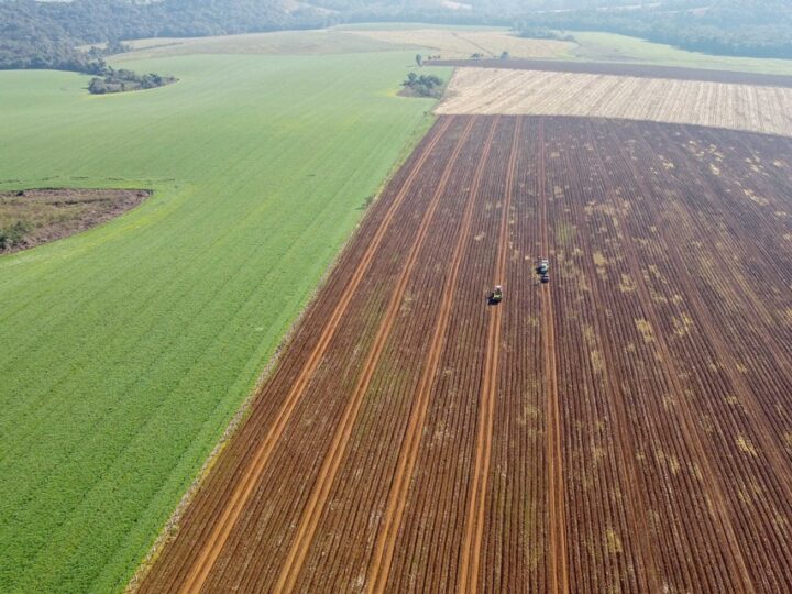 Governo do Estado divulga pesquisa com preços das terras agricultáveis no Paraná