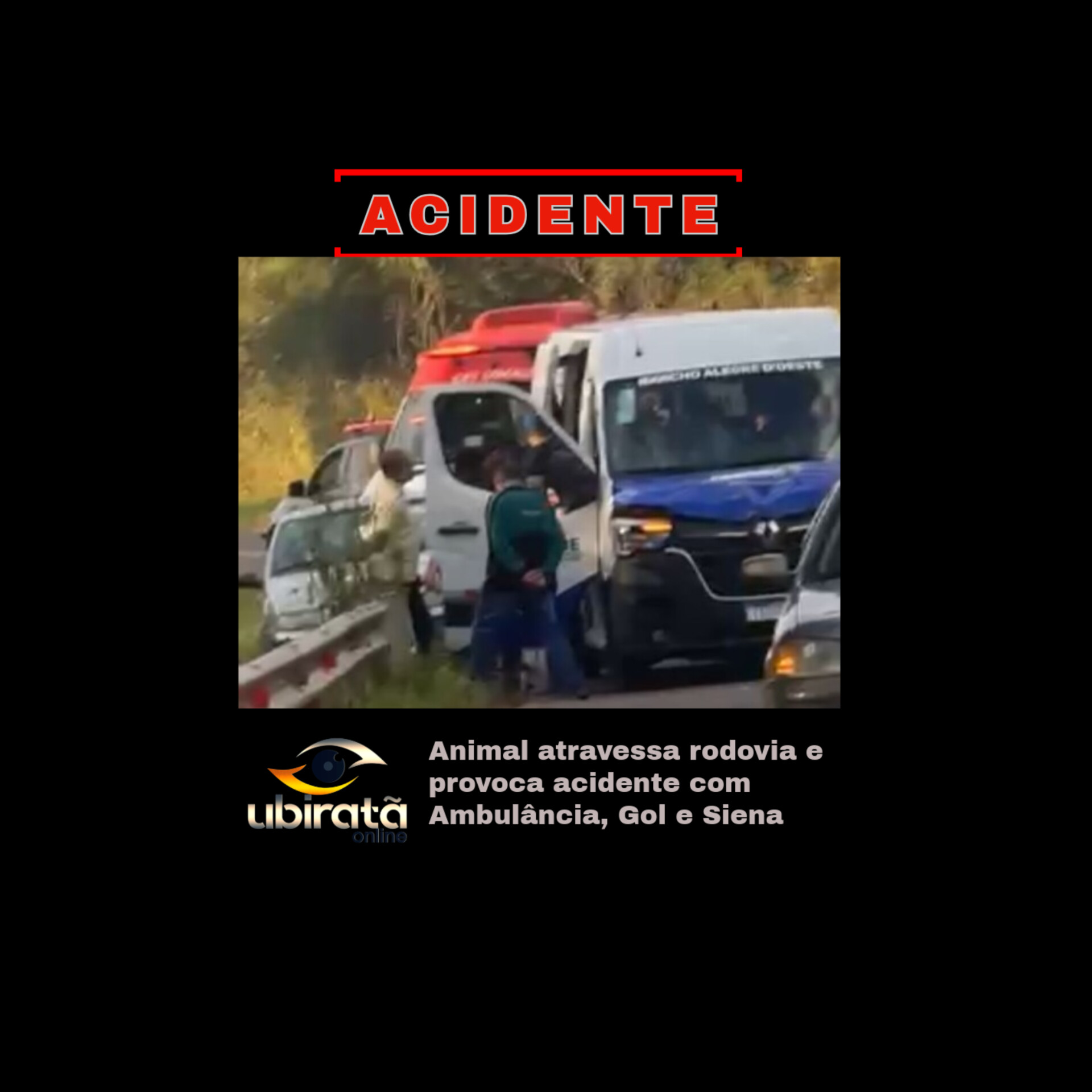 Animal atravessa rodovia e provoca acidente com Ambulância, Gol e Siena