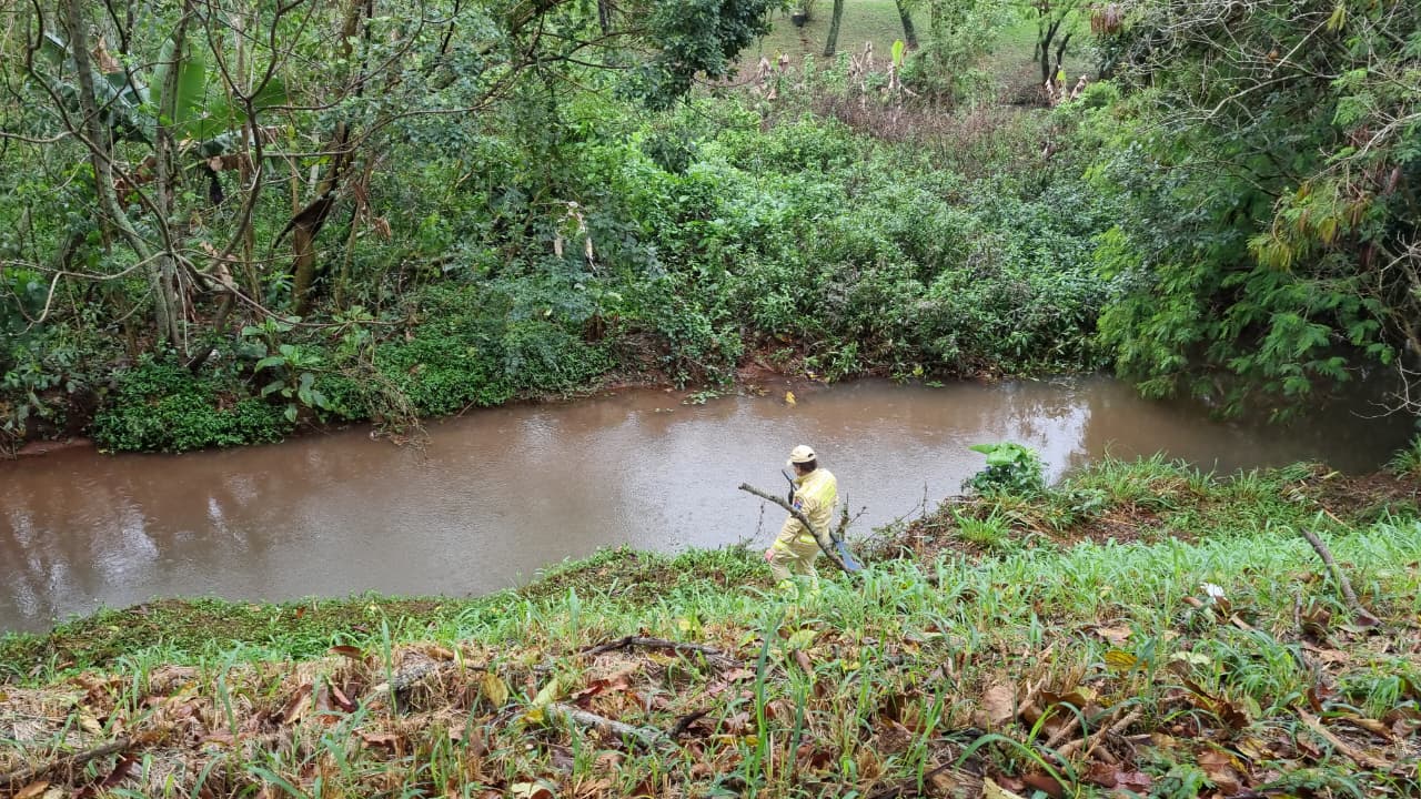 Corpo de Bombeiros procura cão que ficou perdido no Parque Tarquínio em Cascavel