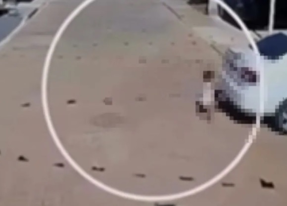 Menino sofre atropelamento ao buscar bola em condomínio; motorista não conseguiu evitar