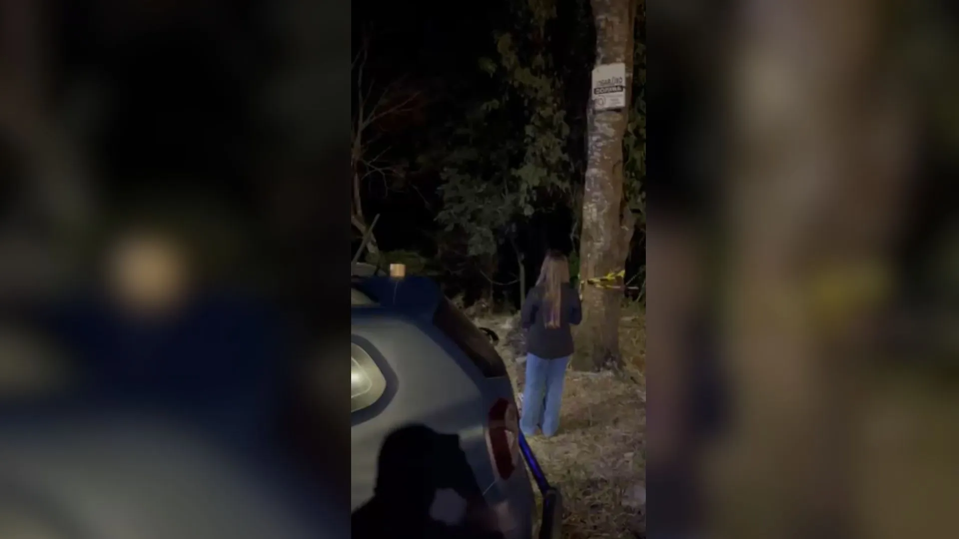 Cachorro perdido leva tutora a fazer descoberta assustadora na RMC