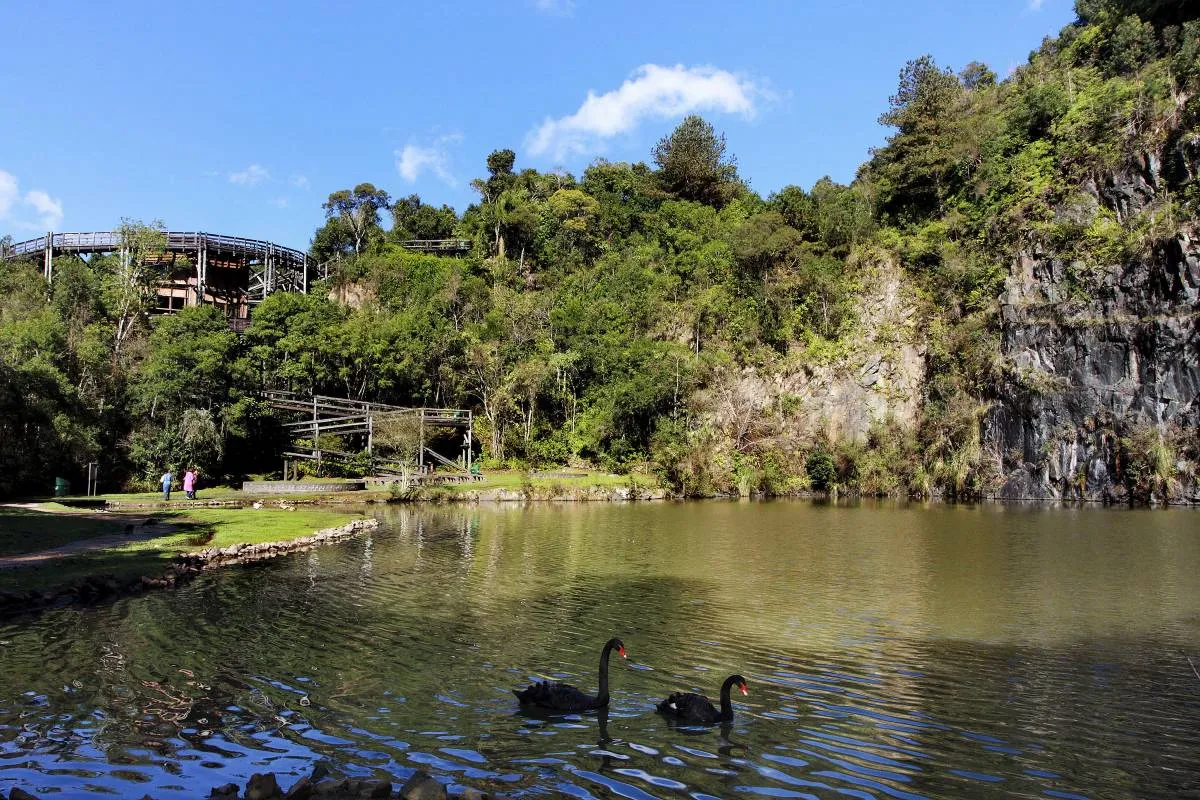 Refúgio em Curitiba tem lago com cisnes e mirante caracol