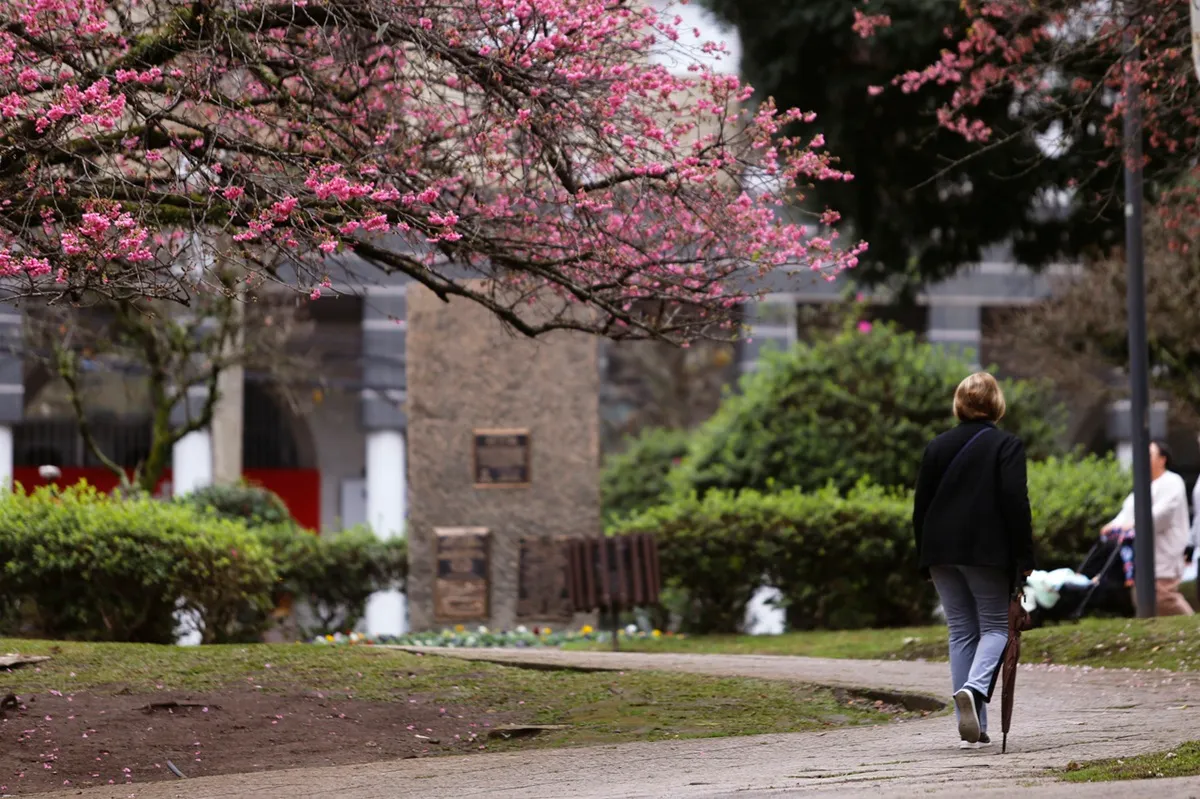 Previsão! Como fica o tempo em Curitiba nesta sexta-feira (26)