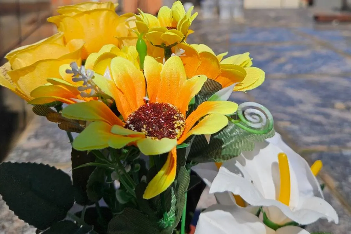 Falecimentos em Curitiba; Obituário desta quarta-feira (21/01)