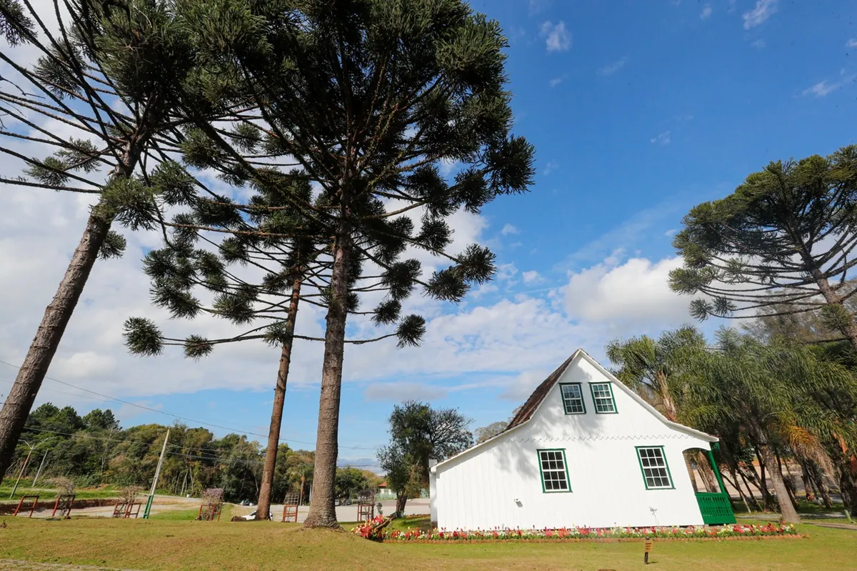 previsão para este sábado (20)