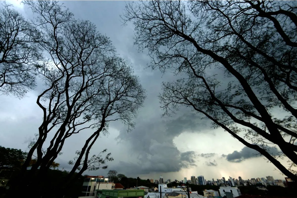 Previsão do tempo em Curitiba nesta quarta-feira (01)