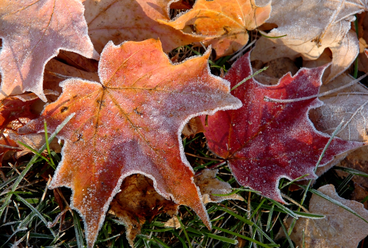 Winter weather alerts issued for several states, including Pa.
