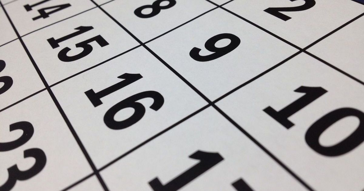 Veja quais são os feriados em novembro de 2025