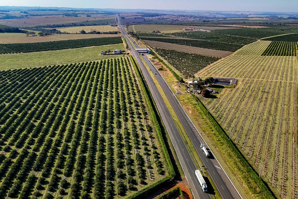 Grupos disputam leilão de 627 km de rodovias no Paraná na quinta