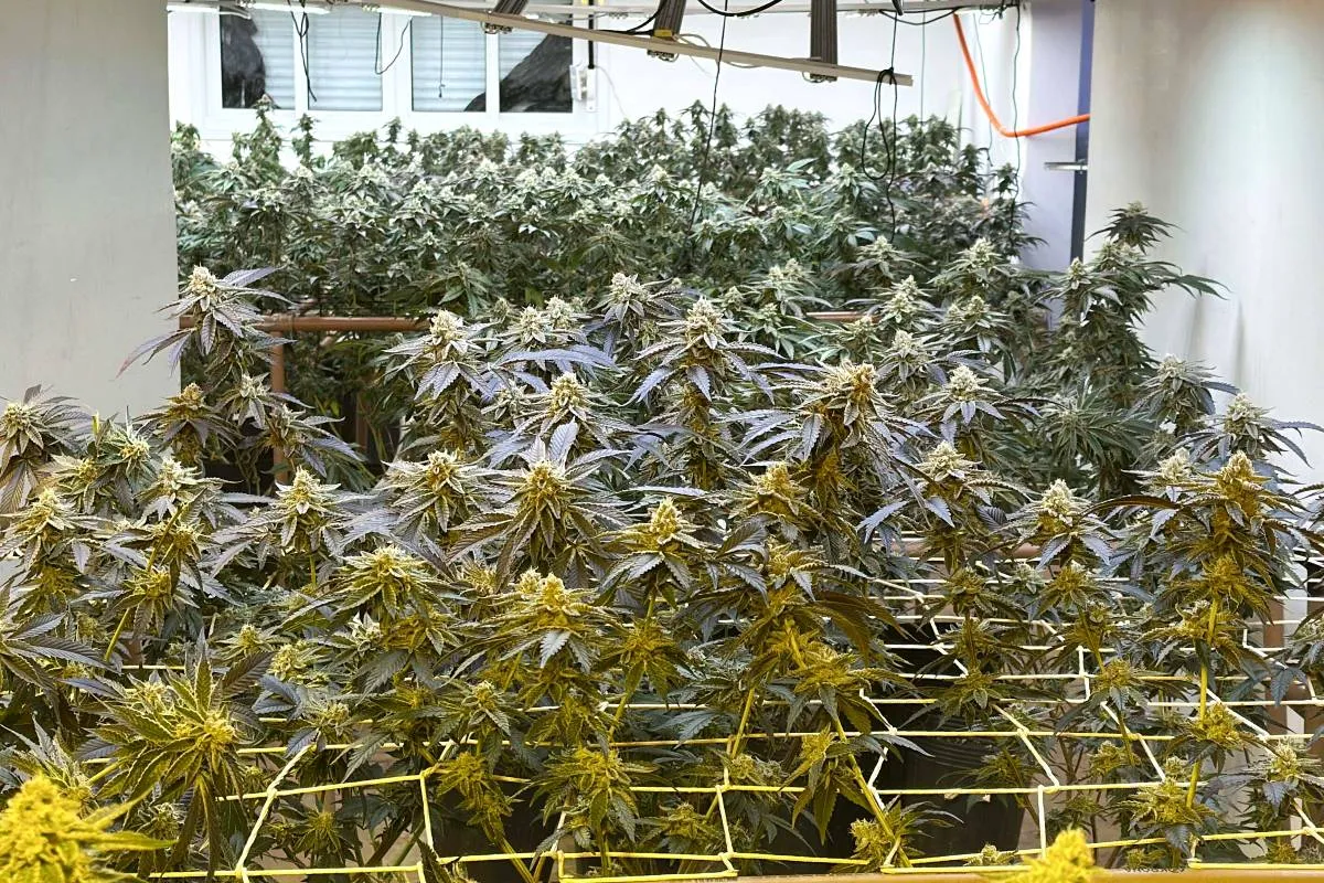 Bandidos explodem portão de cadeia do PR com dinamite e resgatam presos