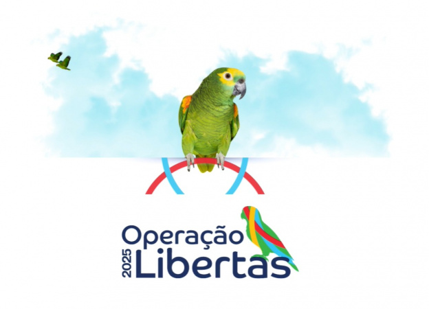 MPPR participa de operação de combate ao tráfico de espécies da fauna silvestre realizada simultaneamente em 11 estados