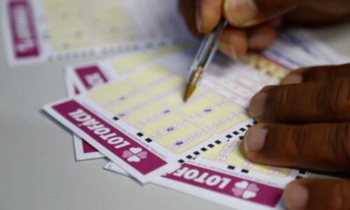 Resultado da Lotofácil 3590 deste sábado: veja os números