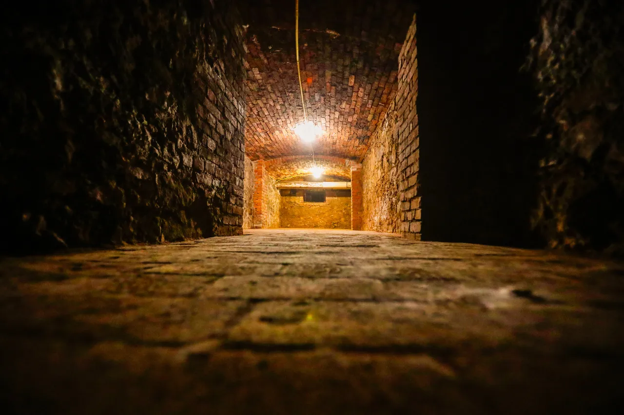 Reportagem da Tribuna inspira livro de estudantes da PUCPR