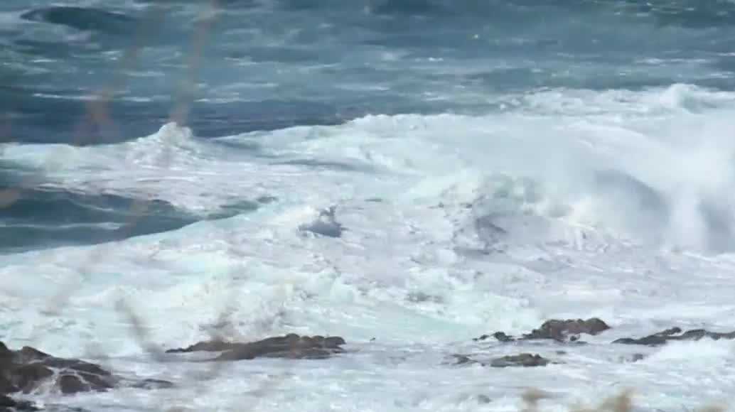 U.S. Army specialist swept to sea in California identified