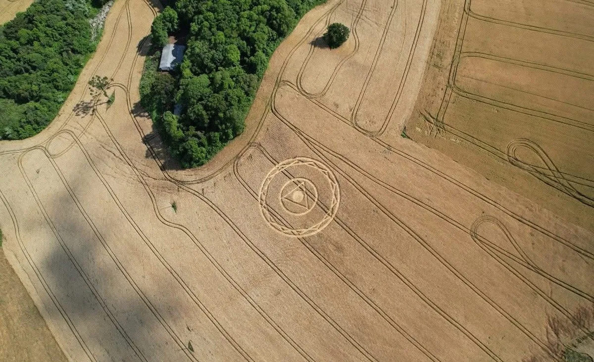 Agroglifo misterioso reaparece em plantação de Santa Catarina