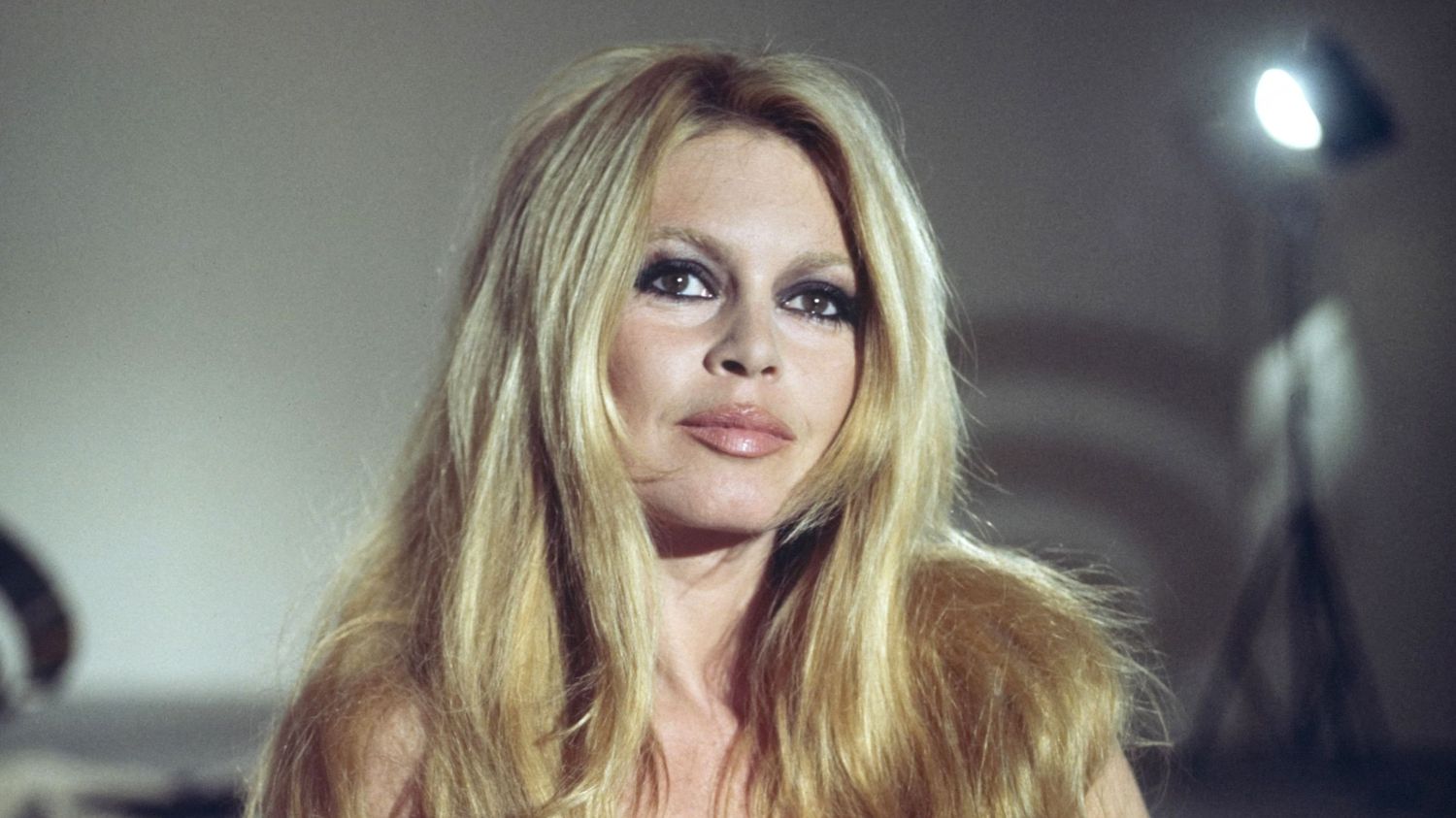Brigitte Bardot, star mondiale du cinéma et militante infatigable de la cause animale, est morte à l’âge de 91 ans