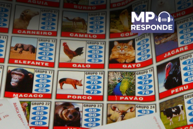 Perguntas tratam de jogo do bicho e da atuação do Gaeco contra essa prática