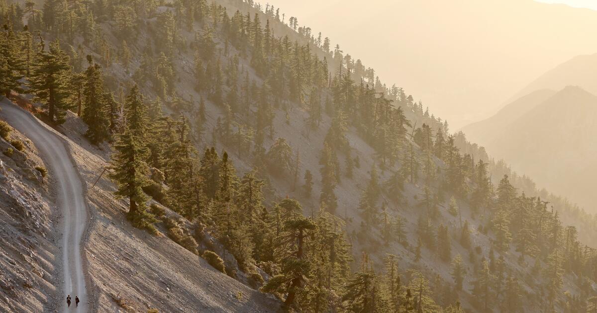 Three hikers found dead on Mt. Baldy. Harsh weather blocks recovery