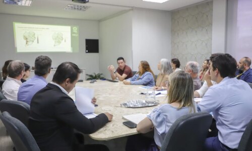 Curitiba amplia ações contra dengue com novo método e mais tecnologia