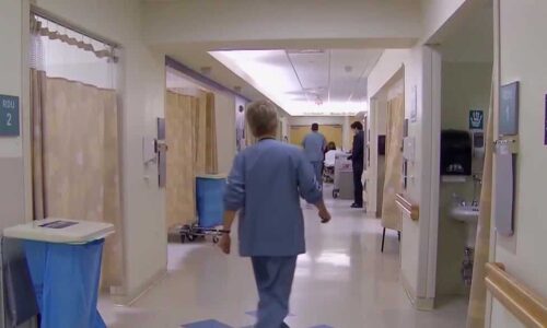 Flu activity surges in NH